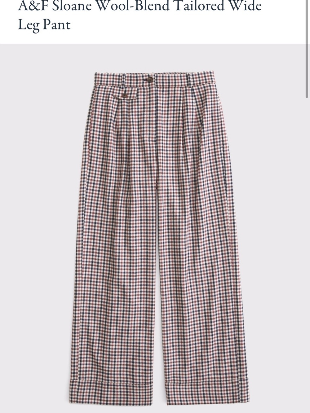 DO NOT BUY! DISO! Abercrombie & Fitch Sloane Wool Blend Tailored Wide Leg